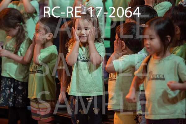 RC-RE-17-2064.jpg