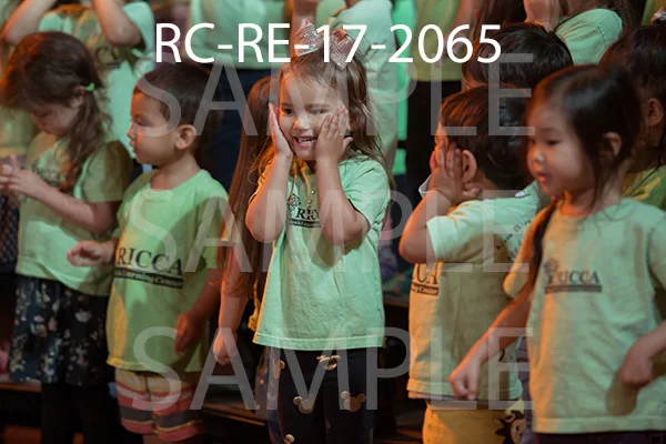 RC-RE-17-2065.jpg