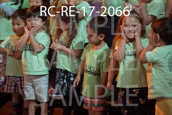 RC-RE-17-2066.jpg