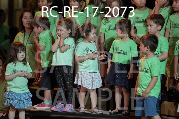 RC-RE-17-2073.jpg