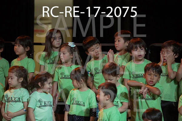 RC-RE-17-2075.jpg