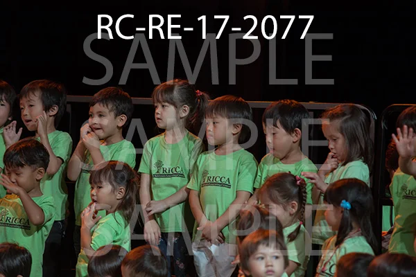 RC-RE-17-2077.jpg