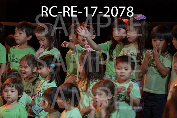 RC-RE-17-2078.jpg