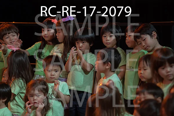 RC-RE-17-2079.jpg