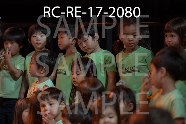 RC-RE-17-2080.jpg