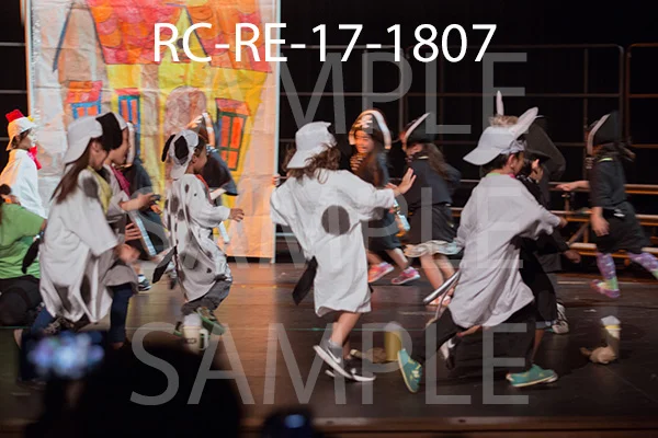 RC-RE-17-1807.jpg