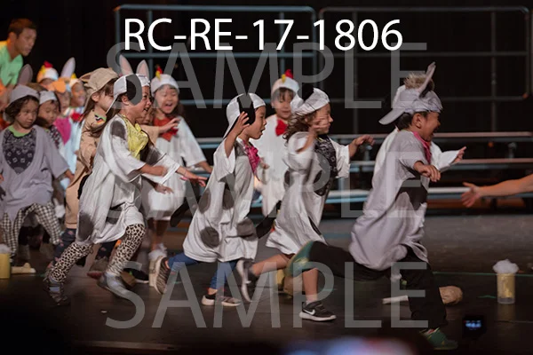 RC-RE-17-1806.jpg