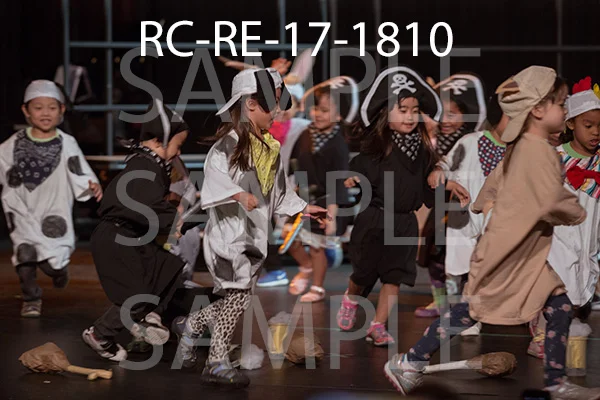 RC-RE-17-1810.jpg