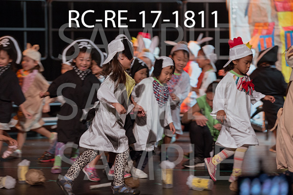 RC-RE-17-1811.jpg
