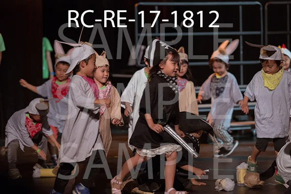 RC-RE-17-1812.jpg