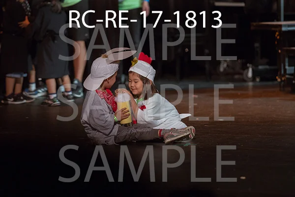 RC-RE-17-1813.jpg