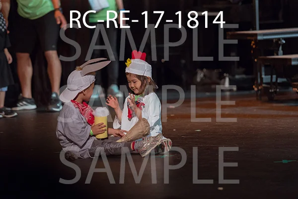 RC-RE-17-1814.jpg