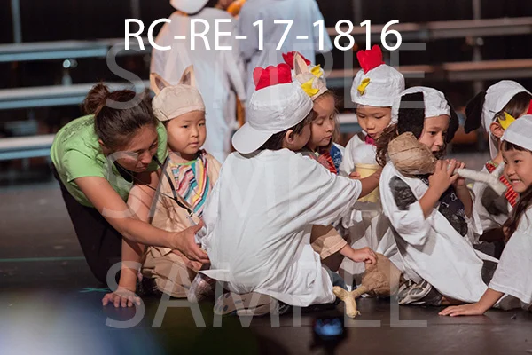 RC-RE-17-1816.jpg