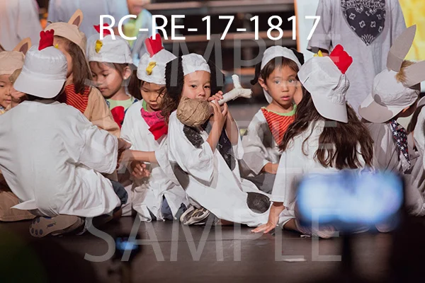 RC-RE-17-1817.jpg