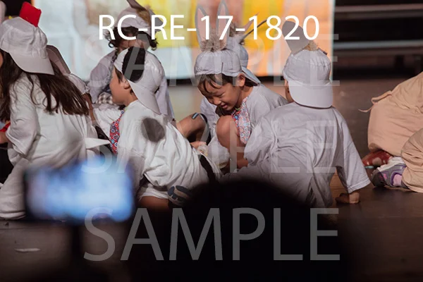 RC-RE-17-1820.jpg
