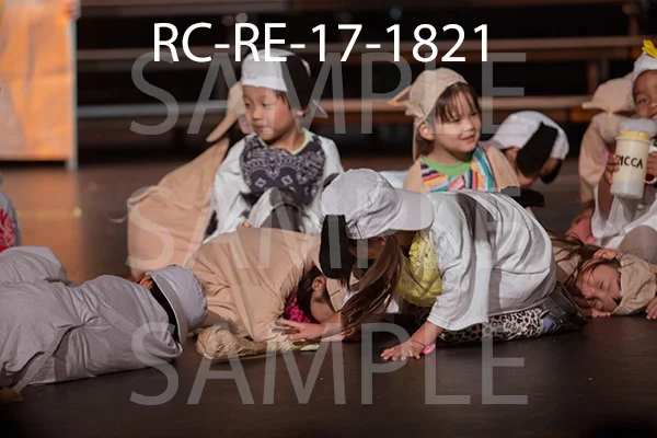 RC-RE-17-1821.jpg