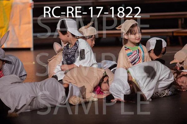 RC-RE-17-1822.jpg