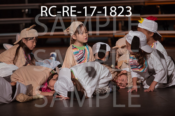RC-RE-17-1823.jpg