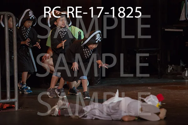 RC-RE-17-1825.jpg