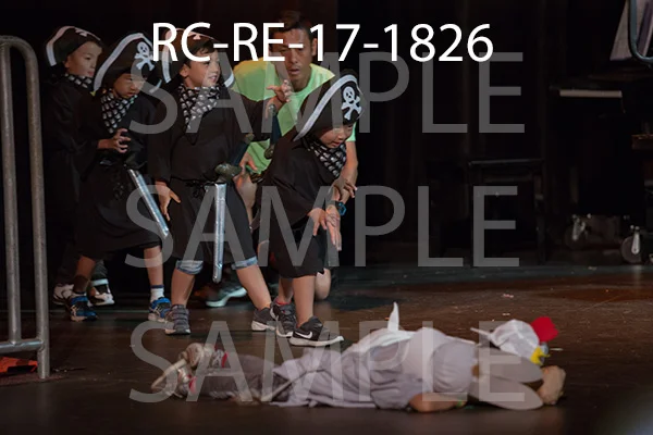 RC-RE-17-1826.jpg