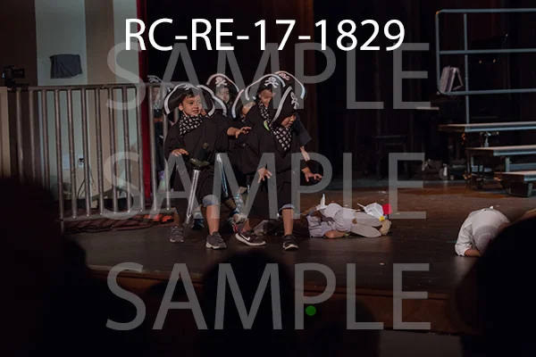RC-RE-17-1829.jpg