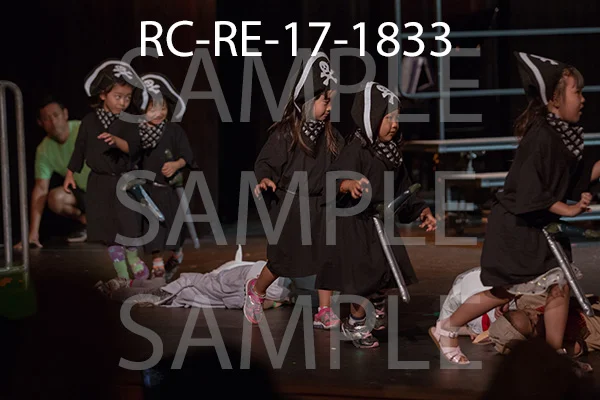 RC-RE-17-1833.jpg