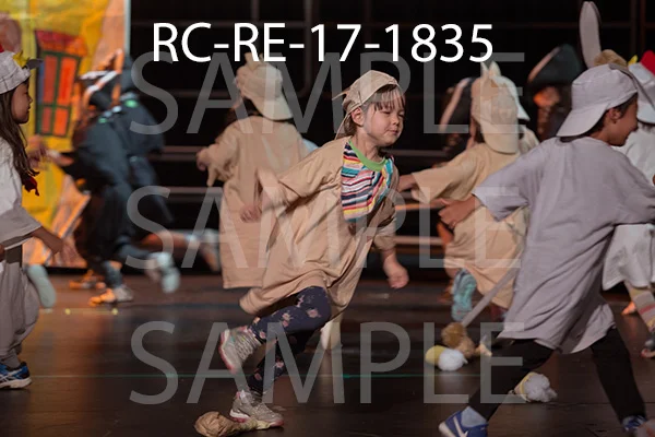 RC-RE-17-1835.jpg