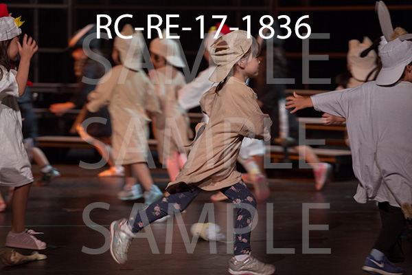 RC-RE-17-1836.jpg