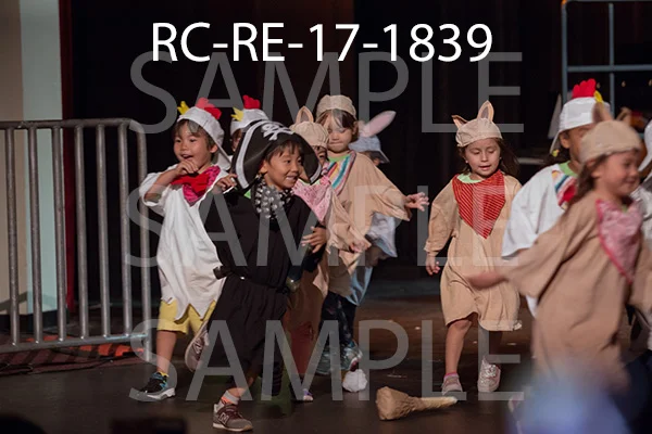 RC-RE-17-1839.jpg