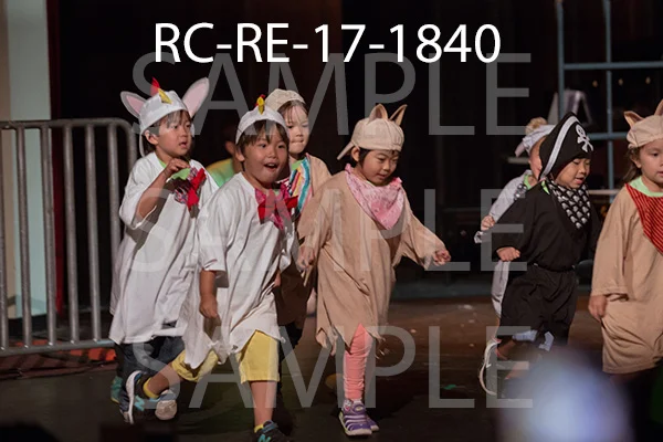 RC-RE-17-1840.jpg