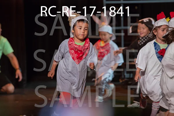 RC-RE-17-1841.jpg