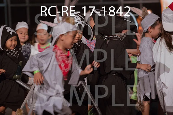 RC-RE-17-1842.jpg