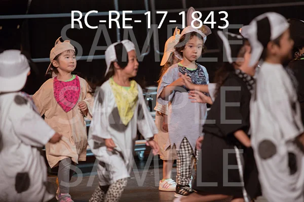 RC-RE-17-1843.jpg