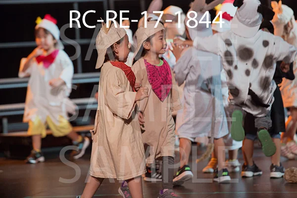 RC-RE-17-1844.jpg