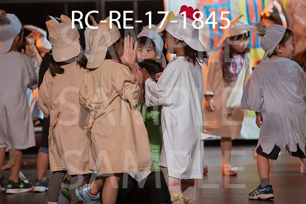 RC-RE-17-1845.jpg