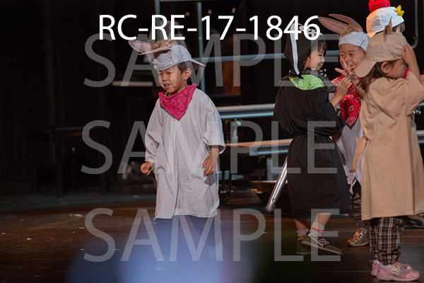 RC-RE-17-1846.jpg