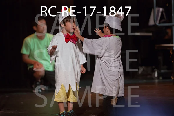 RC-RE-17-1847.jpg