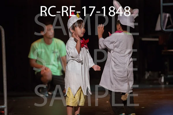 RC-RE-17-1848.jpg