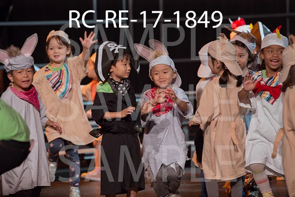 RC-RE-17-1849.jpg