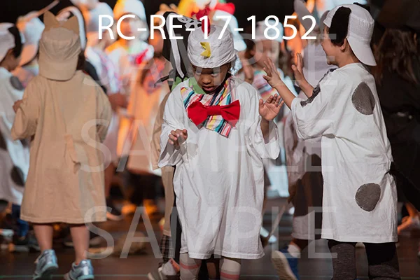 RC-RE-17-1852.jpg