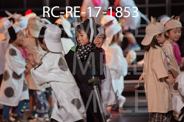 RC-RE-17-1853.jpg