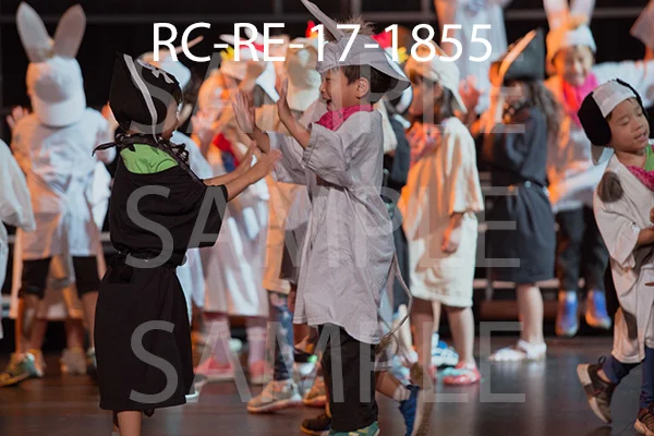 RC-RE-17-1855.jpg