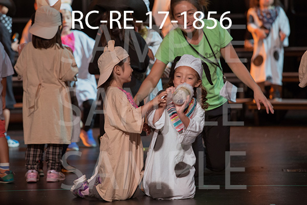 RC-RE-17-1856.jpg