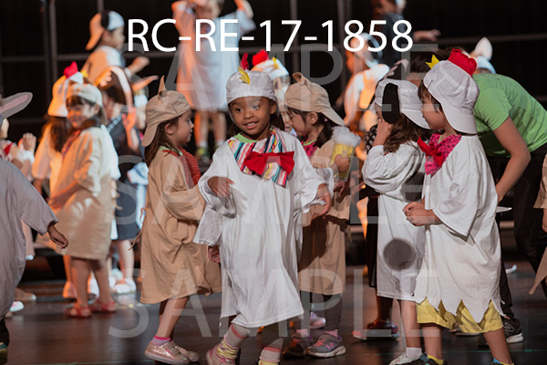 RC-RE-17-1858.jpg