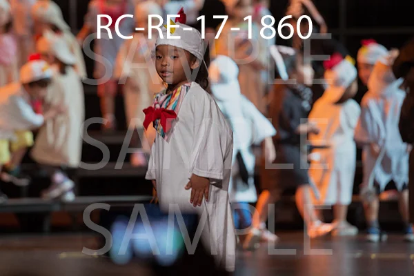 RC-RE-17-1860.jpg