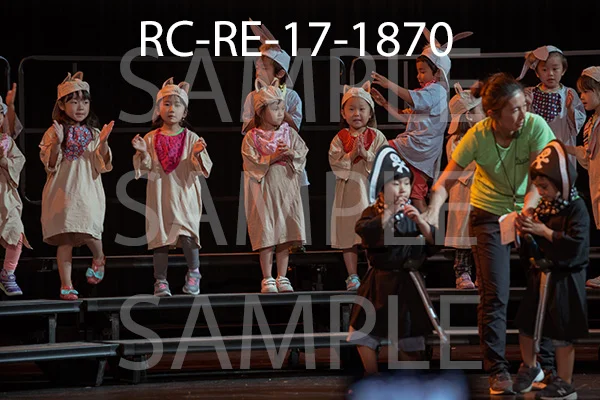 RC-RE-17-1870.jpg