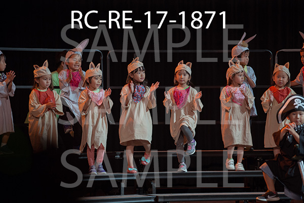 RC-RE-17-1871.jpg