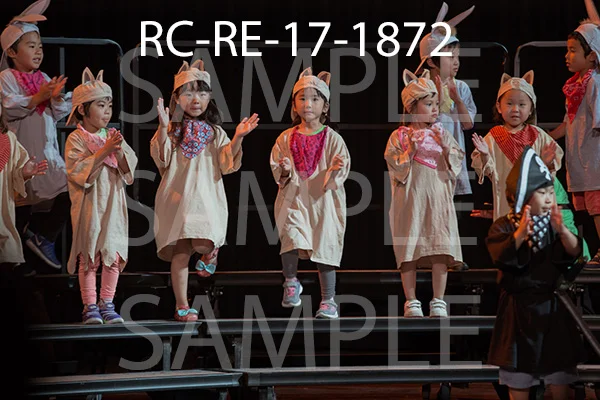 RC-RE-17-1872.jpg