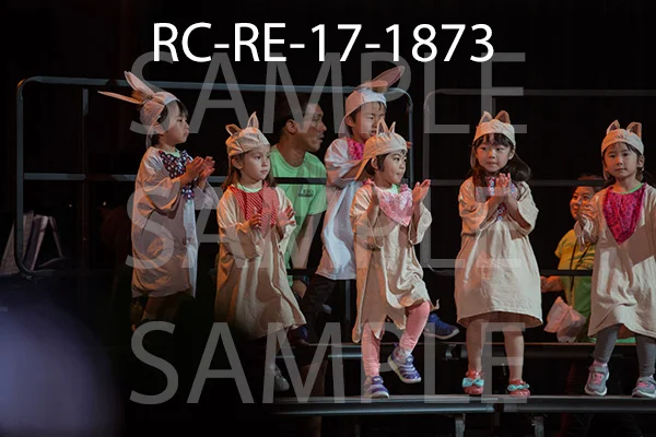 RC-RE-17-1873.jpg