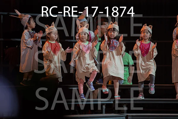RC-RE-17-1874.jpg